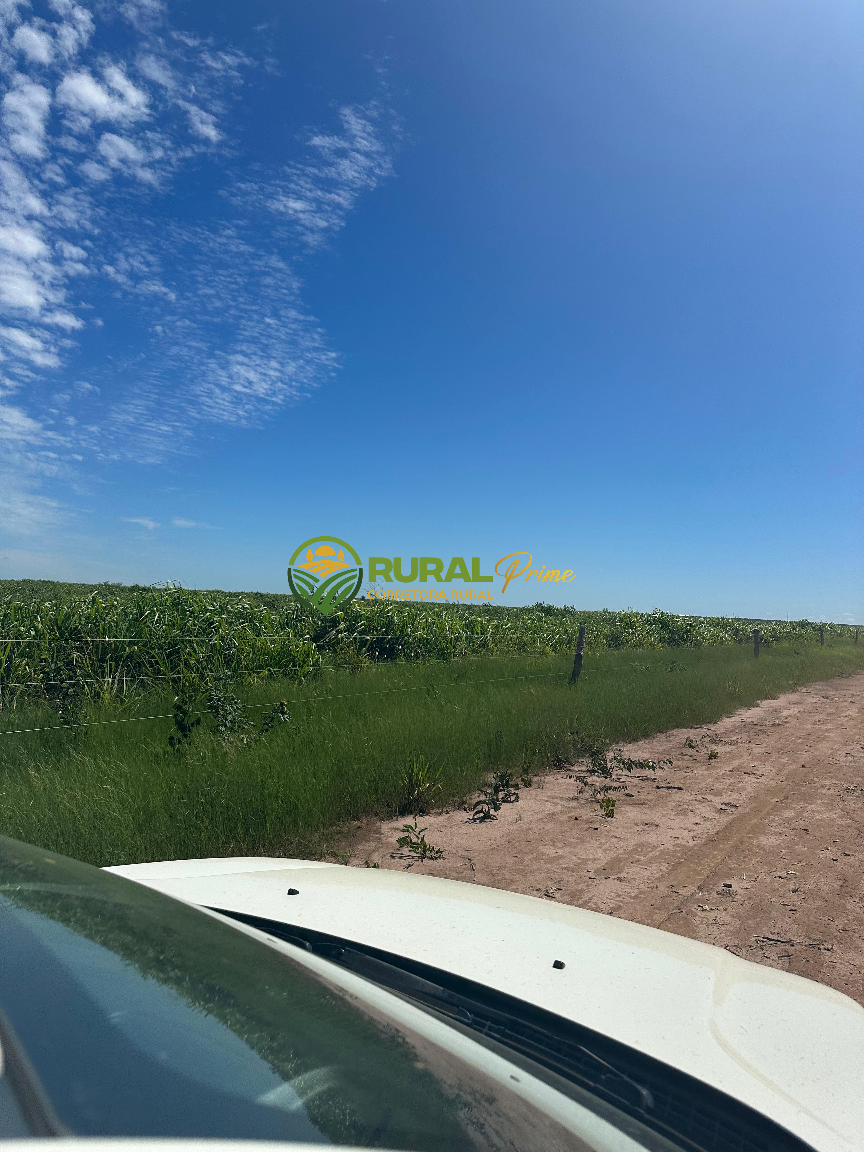 Fazenda à venda em Baianópolis-BA - 4.542ha