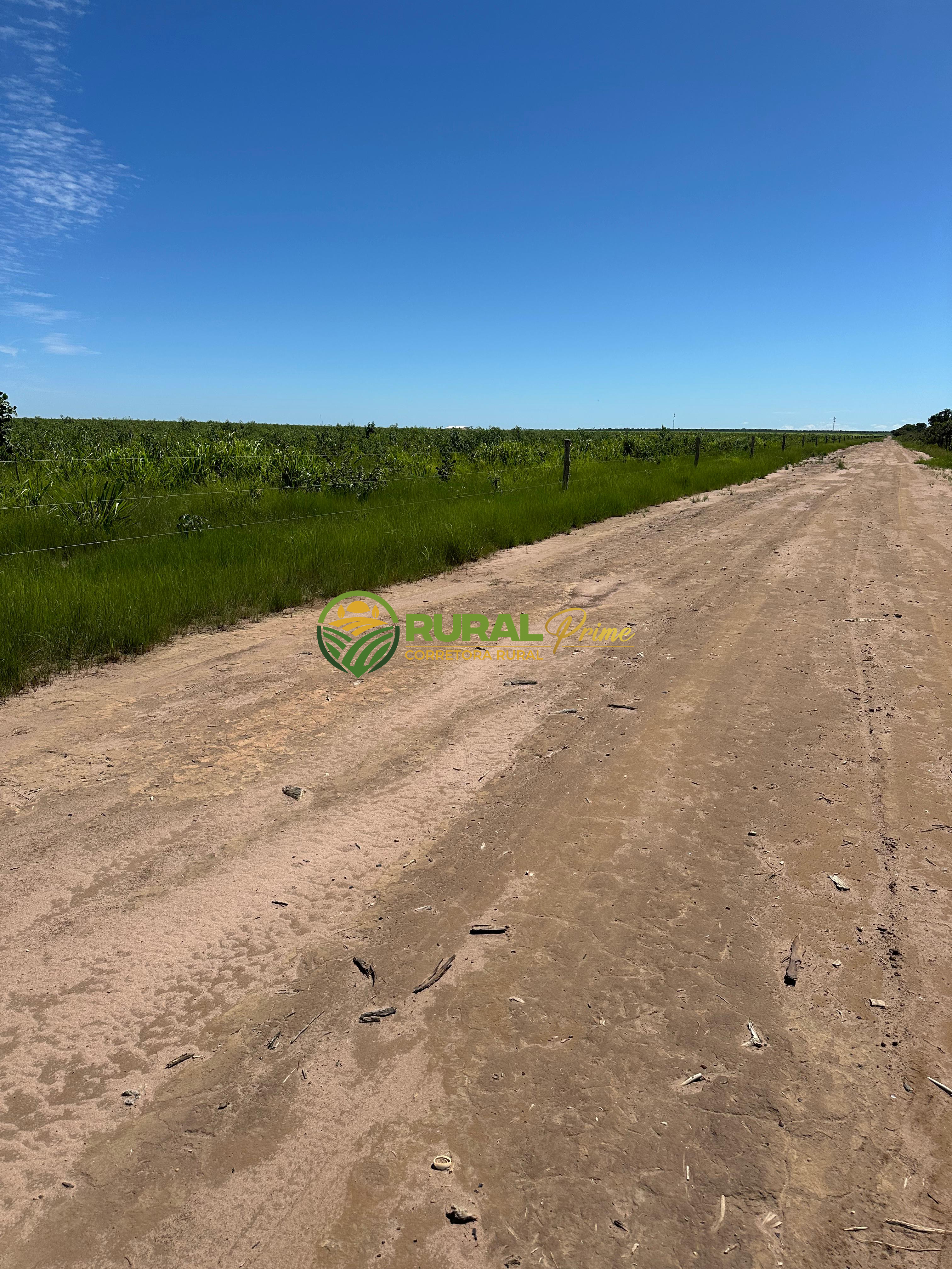 Fazenda à venda em Baianópolis-BA - 4.542ha