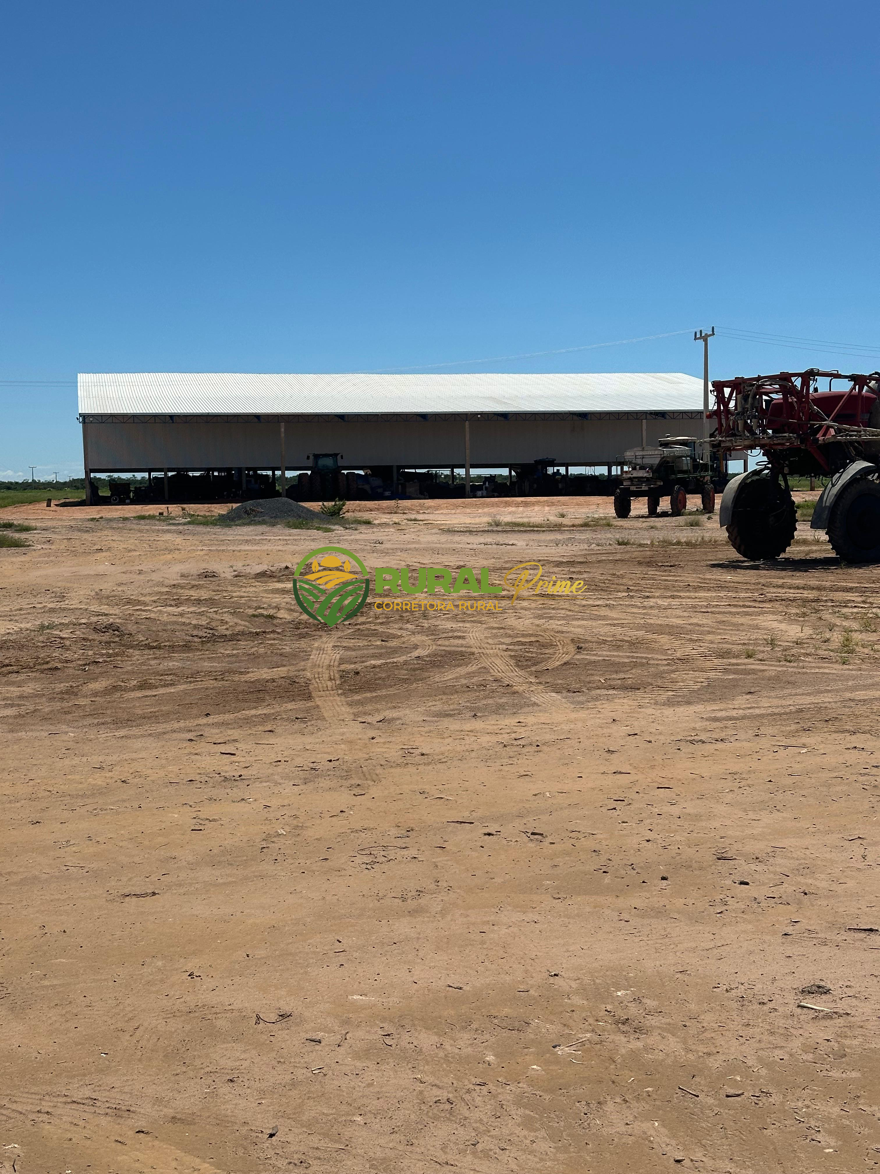 Fazenda à venda em Baianópolis-BA - 4.542ha