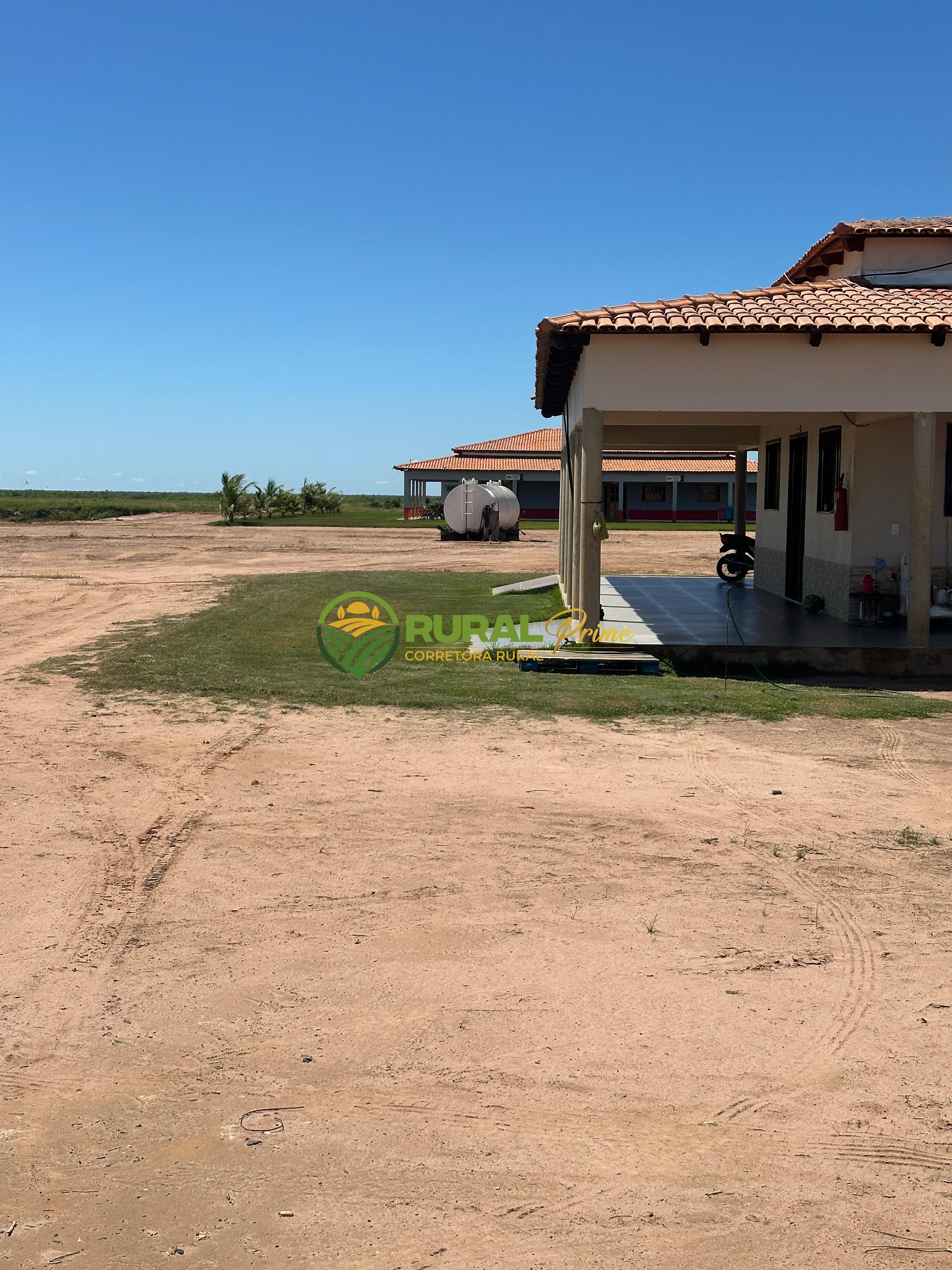 Fazenda à venda em Baianópolis-BA - 4.542ha