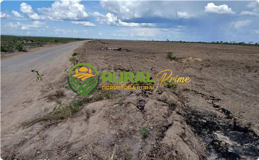 Fazenda em São Desidério-BA para arrendamento