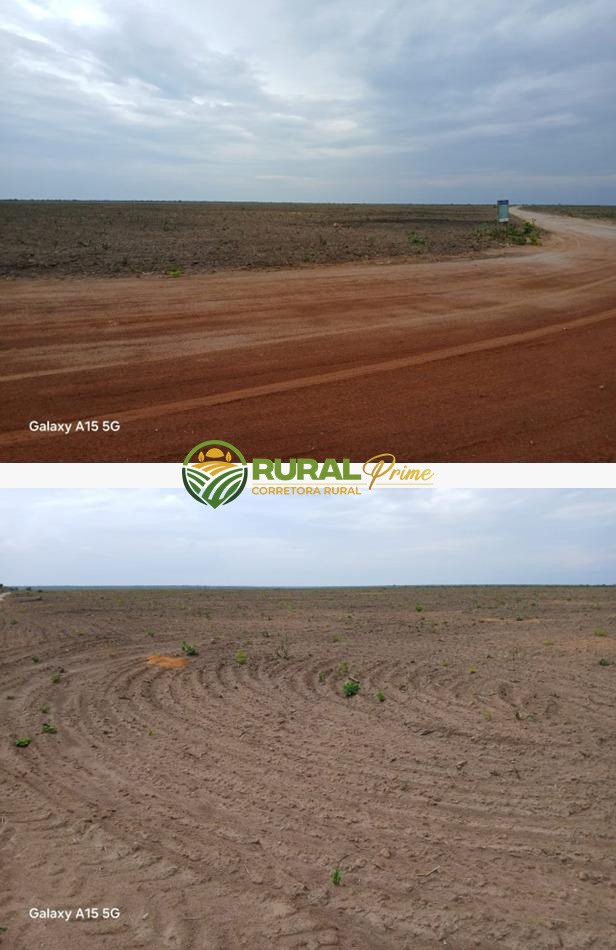 Fazenda em São Desidério-BA para arrendamento