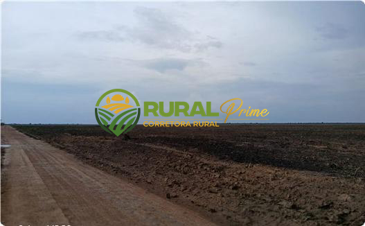 Fazenda em São Desidério-BA para arrendamento