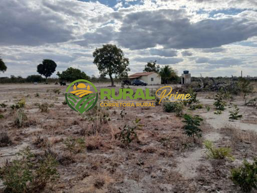 Fazenda em São Desidério-BA para arrendamento